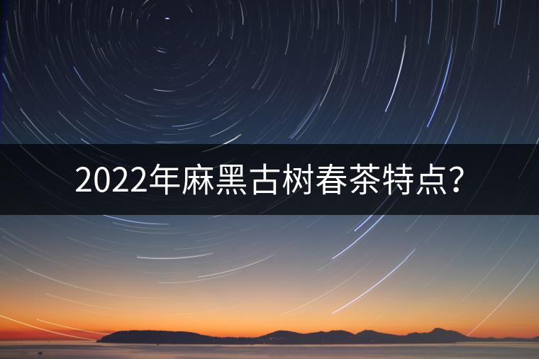 2022年麻黑古樹春茶特點? 2022年麻黑古樹春茶特點?