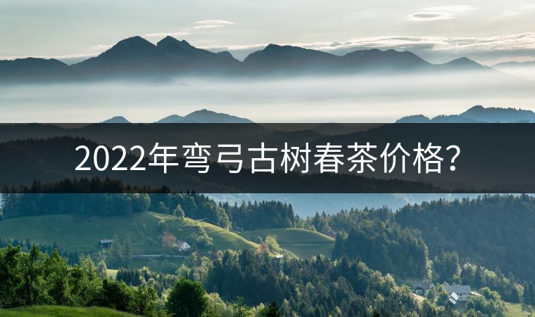 2022年彎弓古樹春茶價格? 2022年彎弓古樹春茶價格?