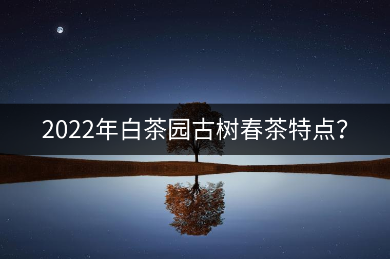 2022年白茶園古樹春茶特點? 2022年白茶園古樹春茶特點?