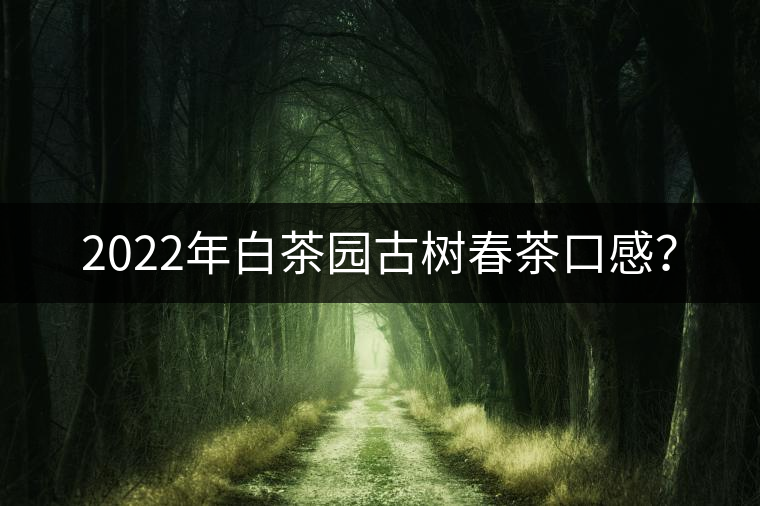 2022年白茶園古樹春茶口感? 2022年白茶園古樹春茶口感?