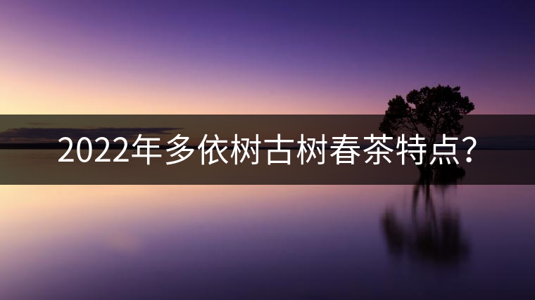 2022年多依樹古樹春茶特點(diǎn)? 2022年多依樹古樹春茶特點(diǎn)?