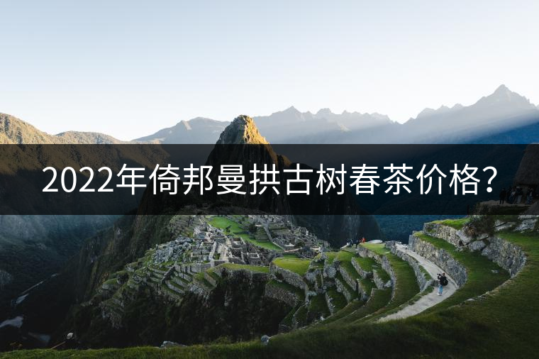 2022年倚邦曼拱古樹春茶價格? 2022年倚邦曼拱古樹春茶價格?