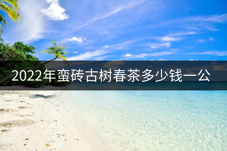 2022年蠻磚古樹春茶多少錢一公斤？