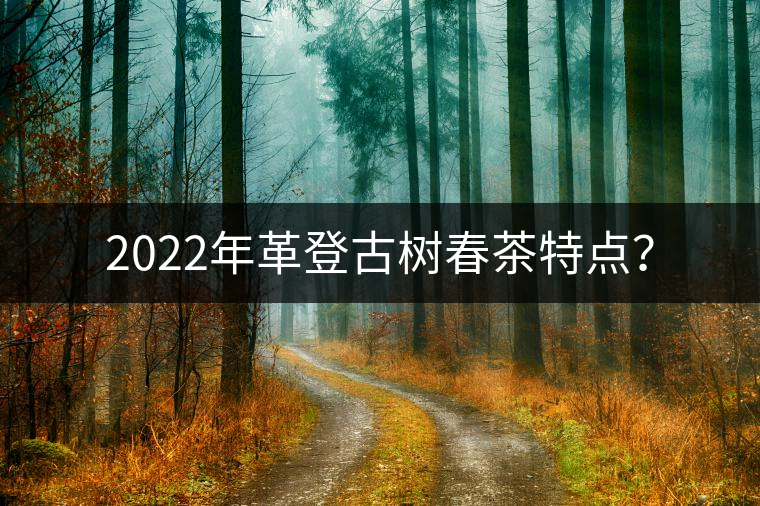 2022年革登古樹(shù)春茶特點(diǎn)? 2022年革登古樹(shù)春茶特點(diǎn)?