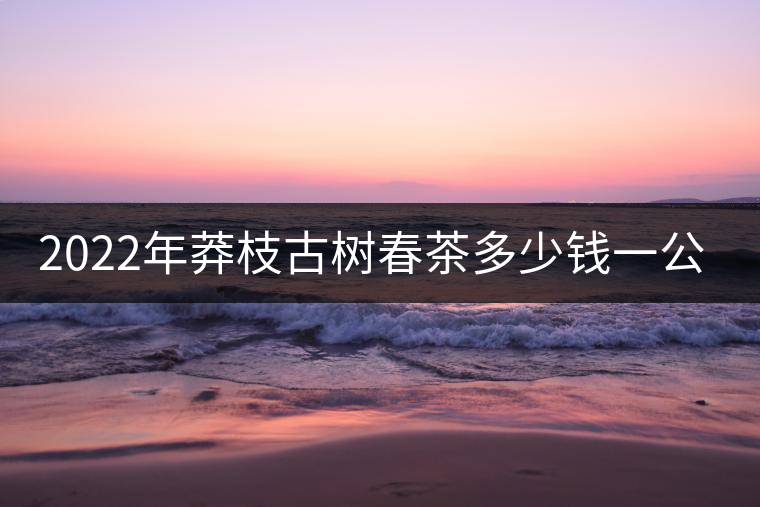 2022年莽枝古樹春茶多少錢一公斤？