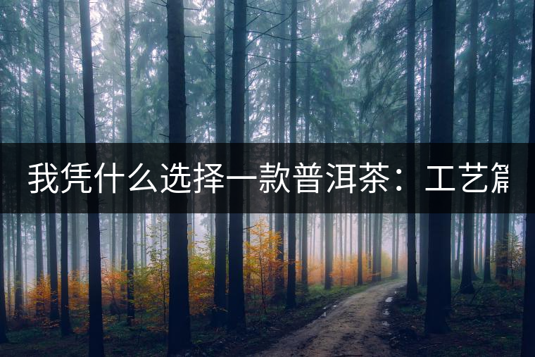 我憑什么選擇一款普洱茶：工藝篇？