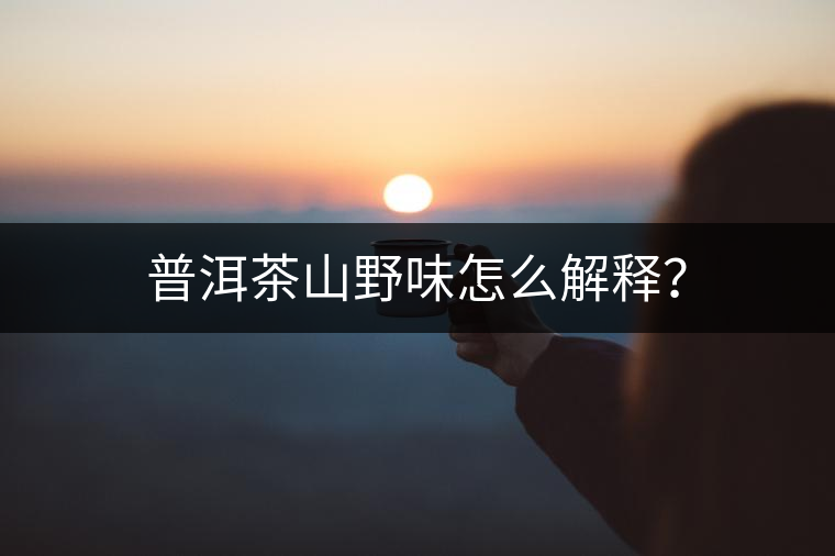 普洱茶山野味怎么解釋？
