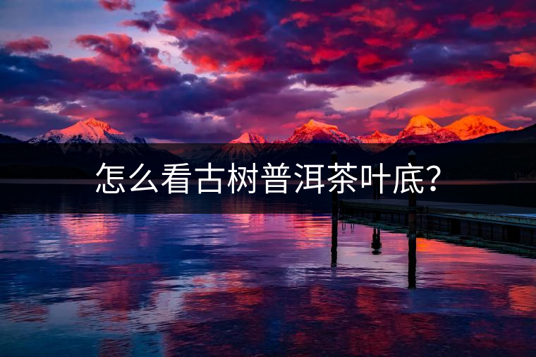 怎么看古樹普洱茶葉底? 怎么看古樹普洱茶葉底?