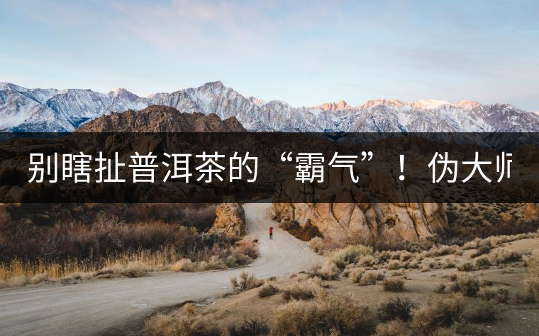 別瞎扯普洱茶的“霸氣”！偽大師！