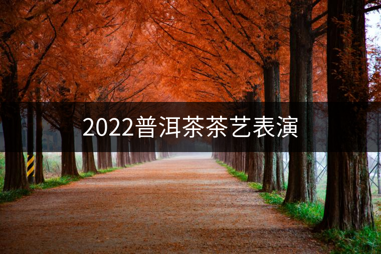 2022普洱茶茶藝表演 2022普洱茶茶藝表演