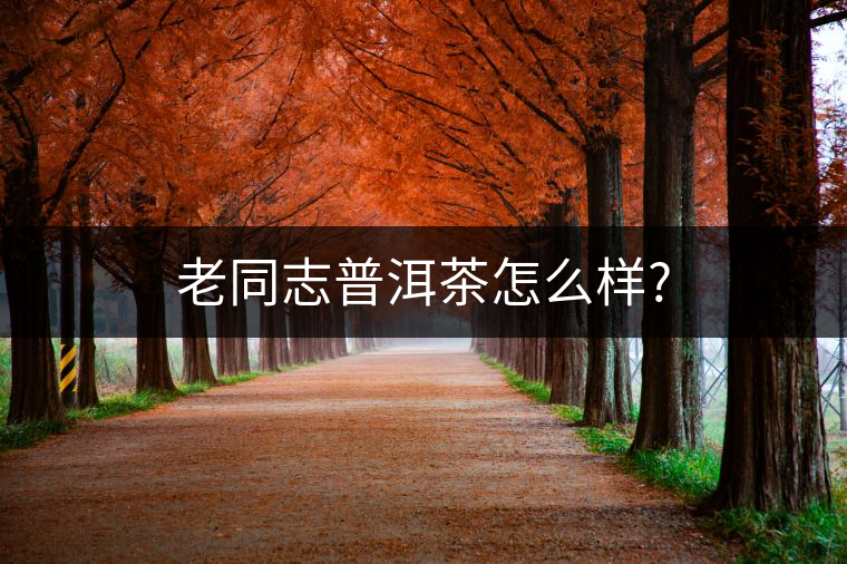 老同志普洱茶怎么樣?