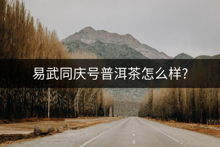 易武同慶號普洱茶怎么樣? 易武同慶號普洱茶怎么樣?