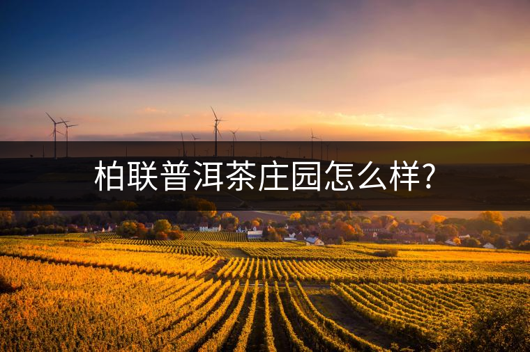 柏聯普洱茶莊園怎么樣?