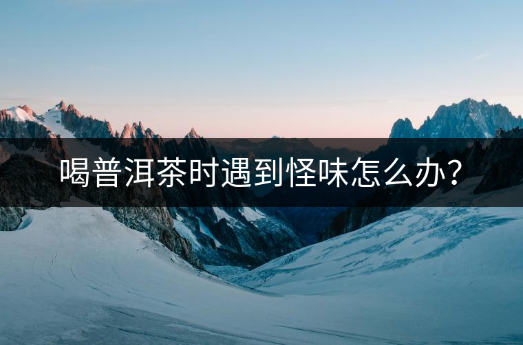 喝普洱茶時遇到怪味怎么辦？