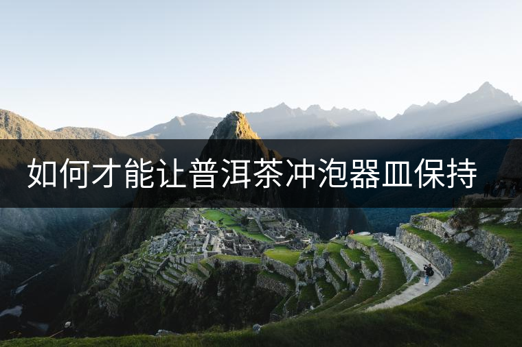 如何才能讓普洱茶沖泡器皿保持干凈,喝起普洱茶來味道不變 如何才能讓普洱茶沖泡器皿保持干凈,喝起普洱茶來味道不變