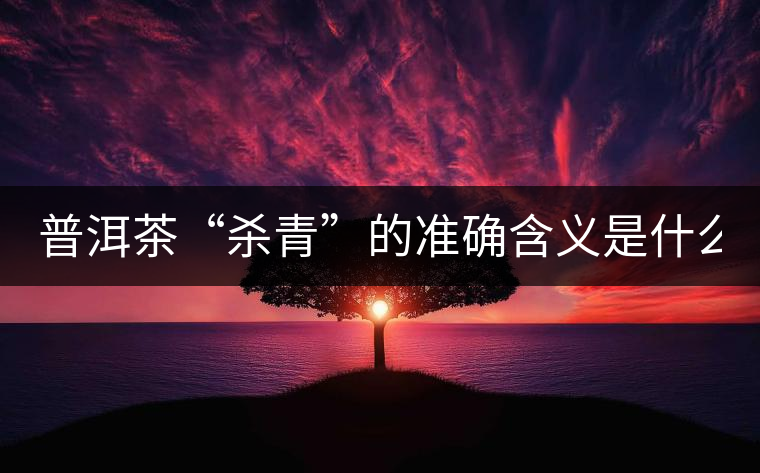 普洱茶“殺青”的準確含義是什么？