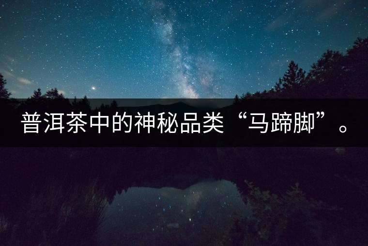 普洱茶中的神秘品類“馬蹄腳”。 普洱茶中的神秘品類“馬蹄腳”。