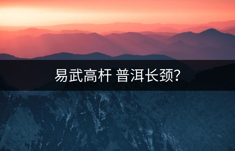 易武高桿 普洱長(zhǎng)頸? 易武高桿 普洱長(zhǎng)頸?