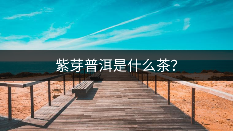 紫芽普洱是什么茶? 紫芽普洱是什么茶?