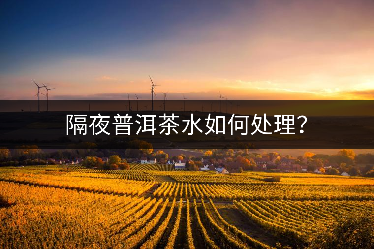 隔夜普洱茶水如何處理? 隔夜普洱茶水如何處理?