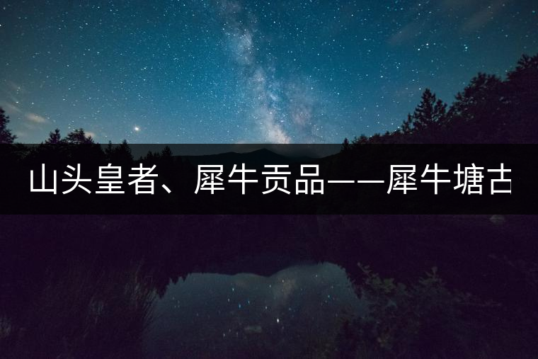山頭皇者、犀牛貢品——犀牛塘古樹茶! 山頭皇者、犀牛貢品——犀牛塘古樹茶!