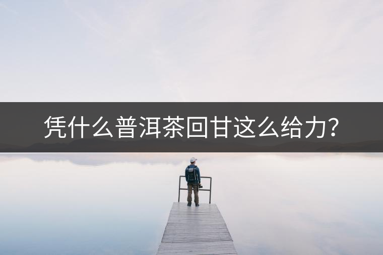 憑什么普洱茶回甘這么給力? 憑什么普洱茶回甘這么給力?