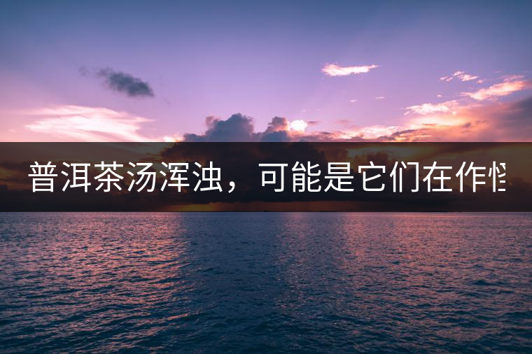 普洱茶湯渾濁，可能是它們在作怪？