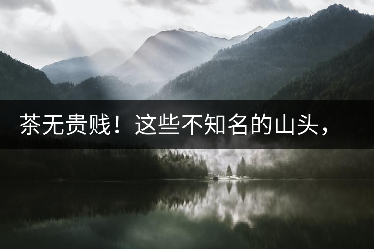 茶無貴賤!這些不知名的山頭,其實(shí)也產(chǎn)優(yōu)質(zhì)普洱茶! 茶無貴賤!這些不知名的山頭,其實(shí)也產(chǎn)優(yōu)質(zhì)普洱茶!