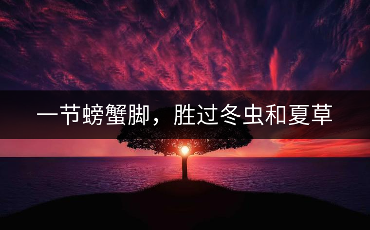 一節(jié)螃蟹腳,勝過冬蟲和夏草 一節(jié)螃蟹腳,勝過冬蟲和夏草