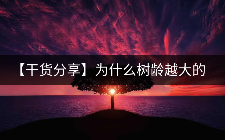 【干貨分享】為什么樹齡越大的普洱生茶,苦味越容易化掉? 【干貨分享】為什么樹齡越大的普洱生茶,苦味越容易化掉?