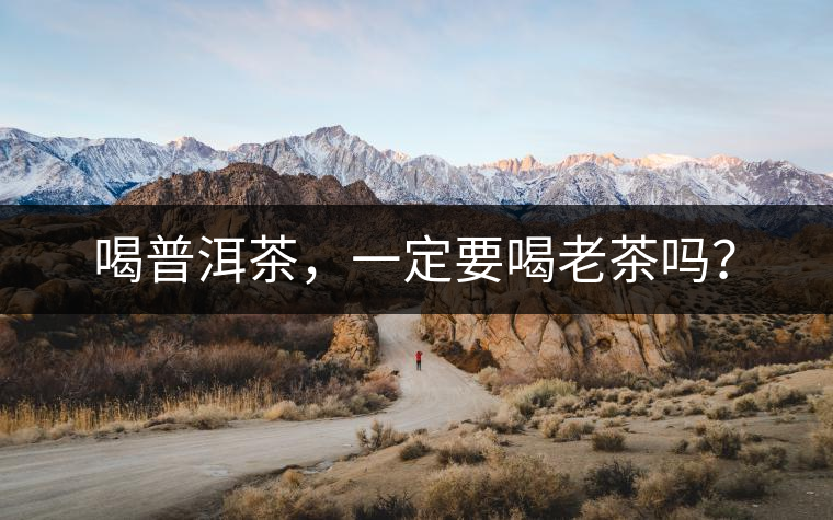喝普洱茶，一定要喝老茶嗎？