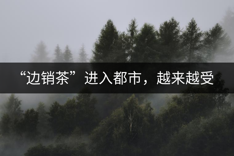 “邊銷茶”進入都市,越來越受人們青睞 “邊銷茶”進入都市,越來越受人們青睞