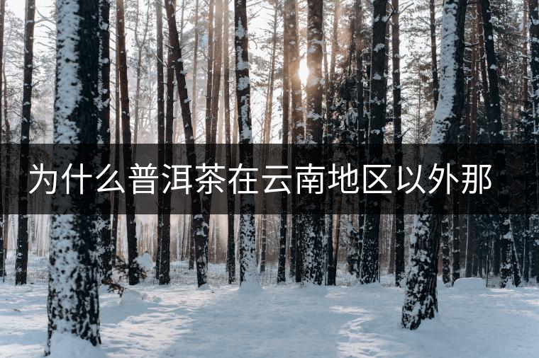 為什么普洱茶在云南地區以外那么受歡迎? 為什么普洱茶在云南地區以外那么受歡迎?