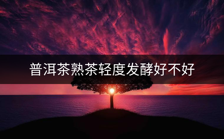 普洱茶熟茶輕度發酵好不好 普洱茶熟茶輕度發酵好不好