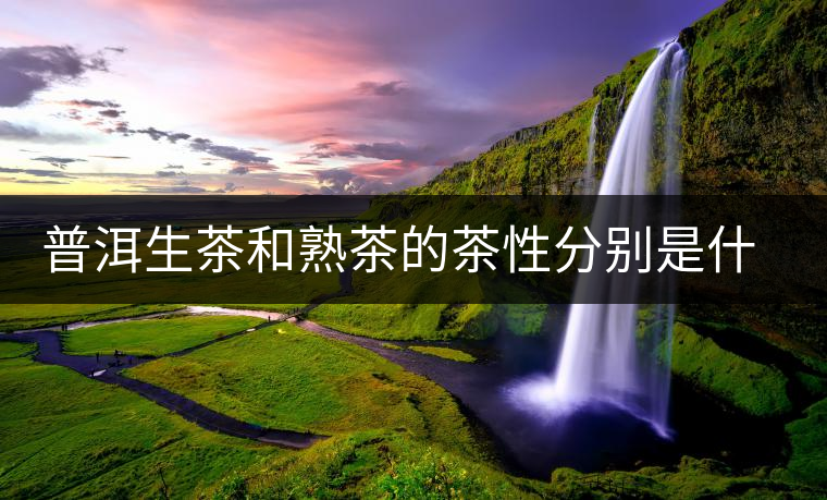 普洱生茶和熟茶的茶性分別是什么？涼性還是熱性？