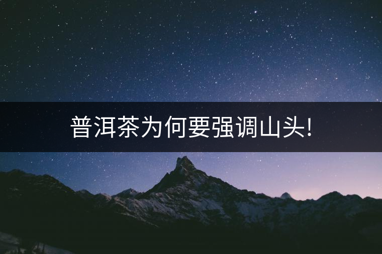 普洱茶為何要強調山頭!