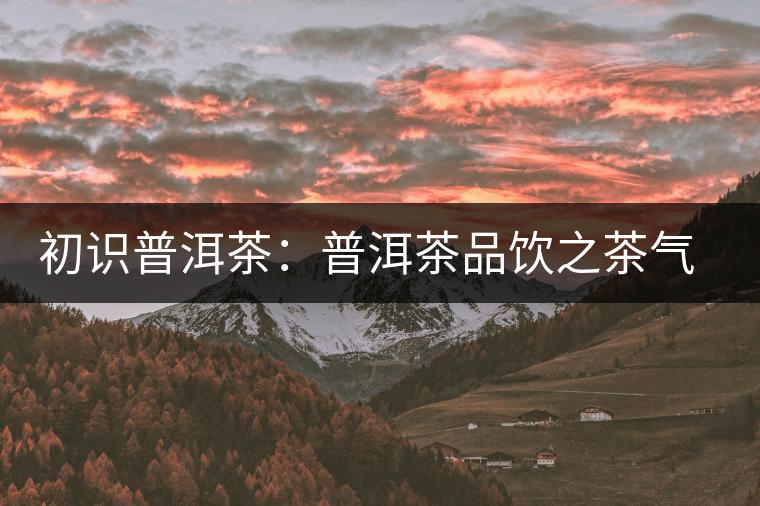 初識普洱茶:普洱茶品飲之茶氣體驗 初識普洱茶:普洱茶品飲之茶氣體驗