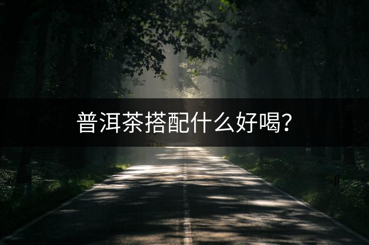 普洱茶搭配什么好喝? 普洱茶搭配什么好喝?