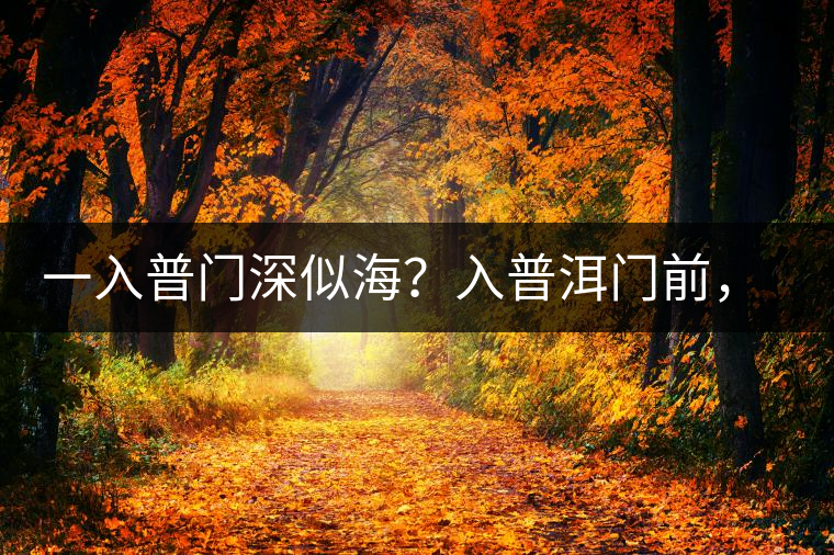 一入普門深似海?入普洱門前,你需要了解這些 一入普門深似海?入普洱門前,你需要了解這些