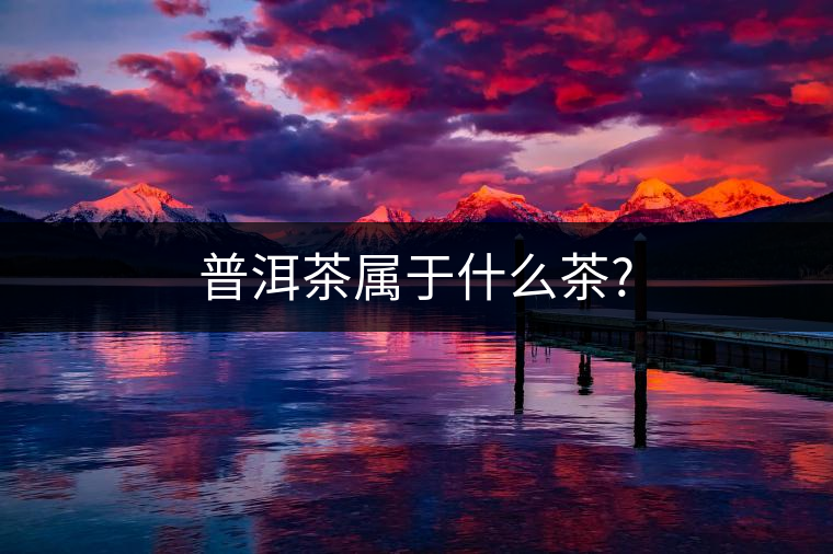普洱茶屬于什么茶? 普洱茶屬于什么茶?