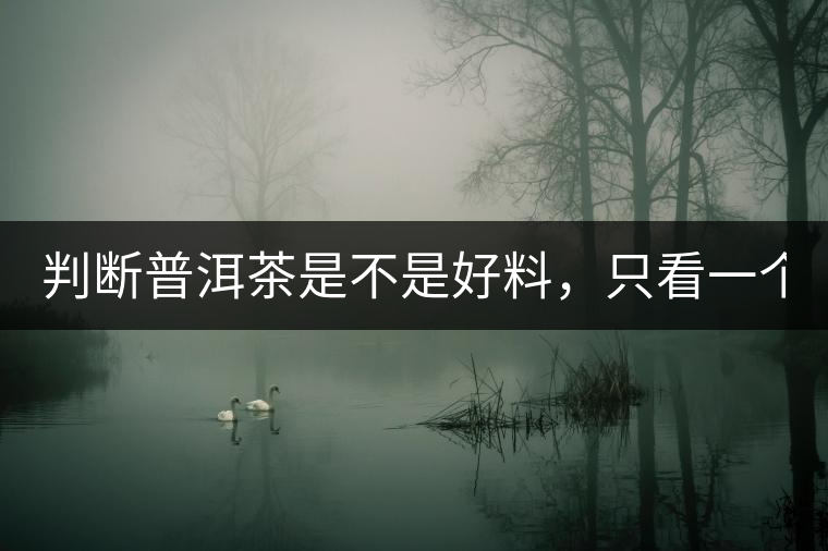 判斷普洱茶是不是好料,只看一個(gè)地方! 判斷普洱茶是不是好料,只看一個(gè)地方!