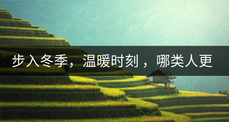 步入冬季,溫暖時刻 ,哪類人更適合 喝普洱熟茶 步入冬季,溫暖時刻 ,哪類人更適合 喝普洱熟茶