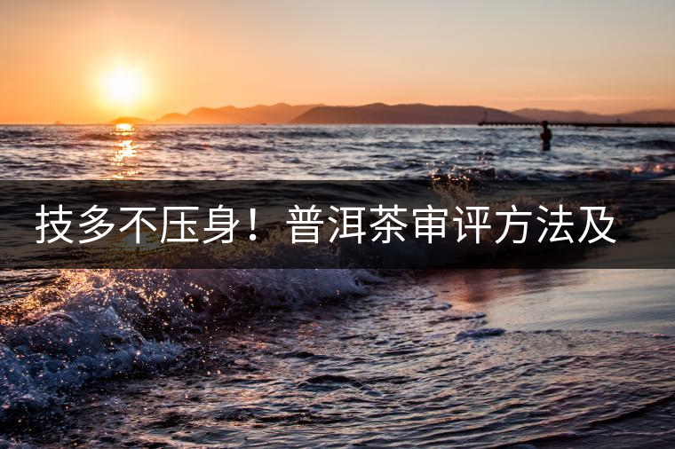 技多不壓身!普洱茶審評方法及專業術語大全(下) 技多不壓身!普洱茶審評方法及專業術語大全(下)