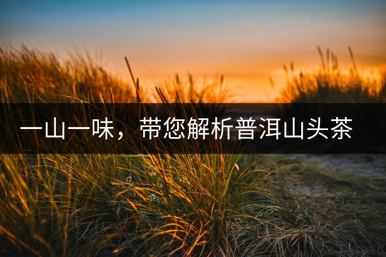 一山一味，帶您解析普洱山頭茶的密碼究竟是什么？