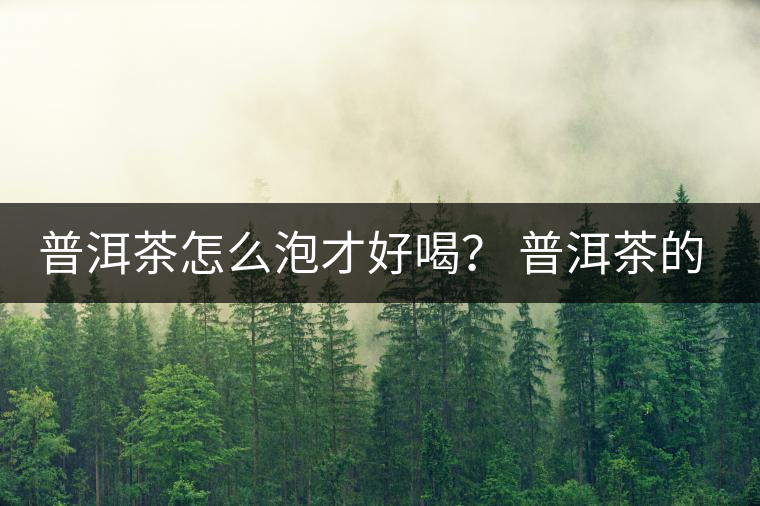 普洱茶怎么泡才好喝？ 普洱茶的沖泡技巧！