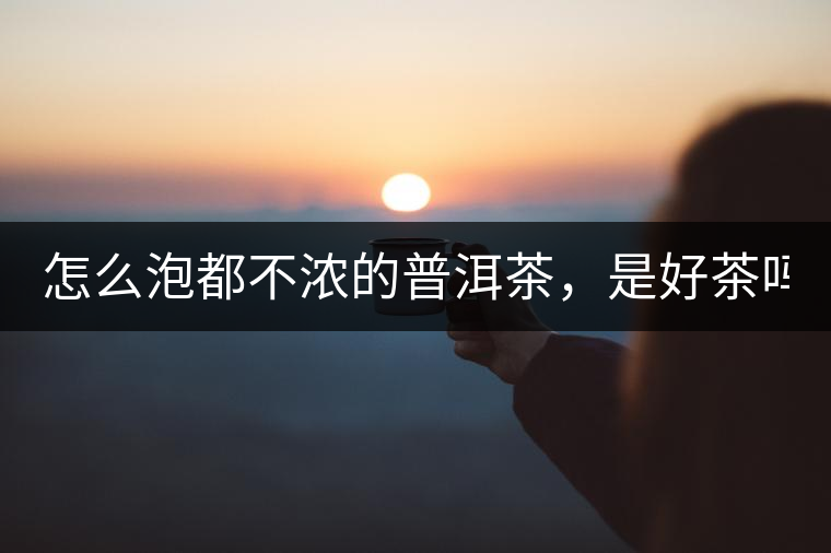 怎么泡都不濃的普洱茶,是好茶嗎? 怎么泡都不濃的普洱茶,是好茶嗎?