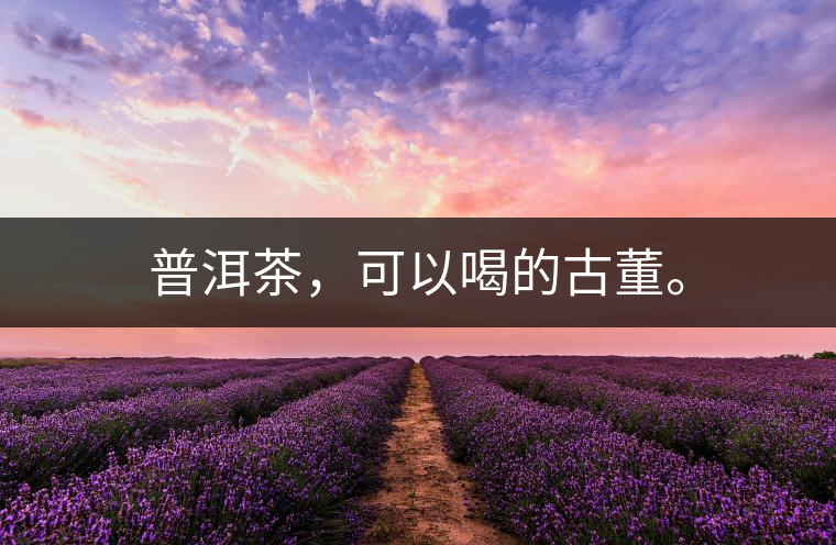 普洱茶，可以喝的古董。