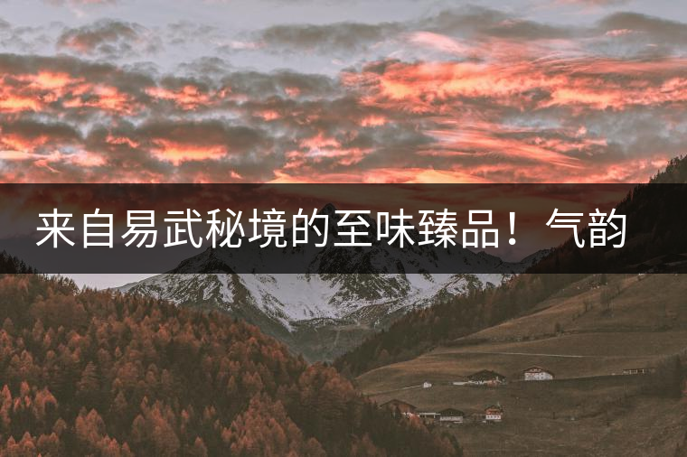 來自易武秘境的至味臻品!氣韻強勁,余韻深邃,一口喚醒你的味蕾~ 來自易武秘境的至味臻品!氣韻強勁,余韻深邃,一口喚醒你的味蕾~