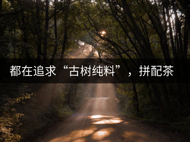 都在追求“古樹純料”，拼配茶真的不如純料的？