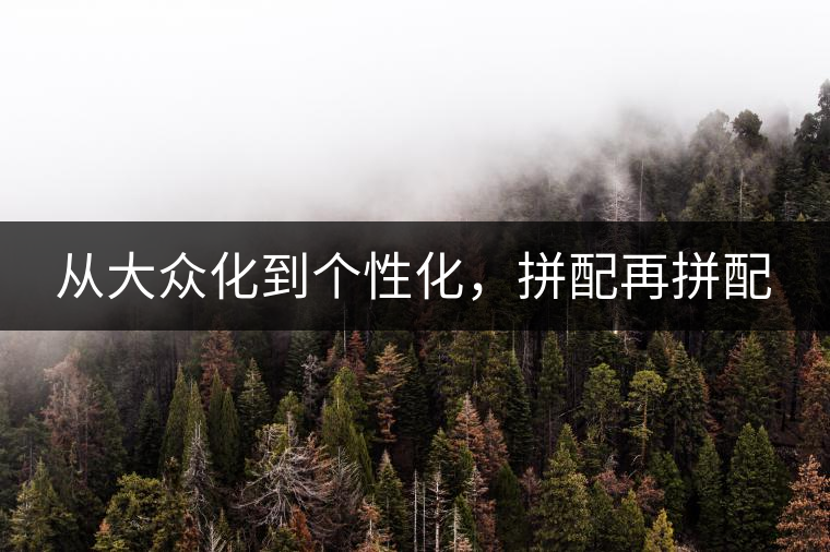 從大眾化到個性化,拼配再拼配 從大眾化到個性化,拼配再拼配